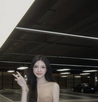 Yasmin - Acompañantes transexual in Bangkok