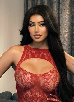 Yasmina Bellami Your Sexy Arab Doll 🇾🇪 - Transsexual escort in Dubai Photo 1 of 8