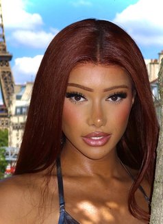 Yasmina Bellami VIP Arab Doll 🥇 - Transsexual escort in Dubai Photo 1 of 18