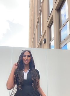 Yasmine Arab Trans🇲🇦🇲🇦 - Acompañantes transexual in Amsterdam Photo 1 of 10