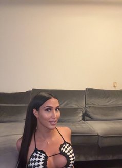 Yasmine Arab Trans🇲🇦🇲🇦 - Acompañantes transexual in Amsterdam Photo 12 of 12