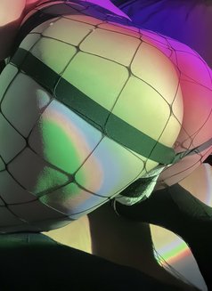 Yasmine Chubby VIP - Transsexual escort in Riyadh Photo 13 of 13