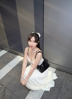 Yassy sweet - escort in Taipei Photo 18 of 30