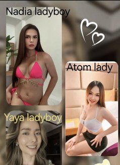 Yaya Bangkok - Transsexual escort in Bangkok Photo 9 of 9