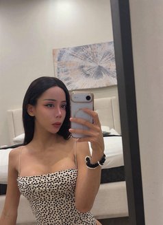 Yaya From Thailand 🇹🇭 - Transsexual escort in Dammam Photo 5 of 5