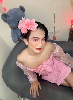 Kenzie ladyboy Mabellah Thailand 🇹🇭 - Transsexual escort in Muscat Photo 3 of 3