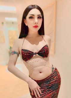 Yaya New in Jeddah🇹🇭 - Transsexual escort in Jeddah Photo 7 of 18