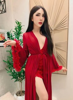 Yaya New in Jeddah🇹🇭 - Transsexual escort in Jeddah Photo 12 of 18