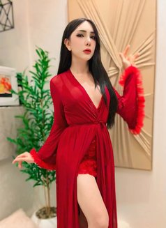 Yaya New in Jeddah🇹🇭 - Transsexual escort in Jeddah Photo 3 of 18