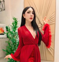 Yaya New in Jeddah🇹🇭 - Transsexual escort in Jeddah