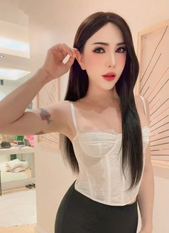 Yaya New in Jeddah🇹🇭 - Transsexual escort in Jeddah Photo 14 of 18