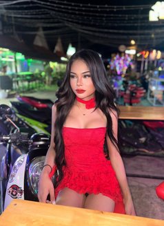 Yaya samui - Acompañantes transexual in Ko Samui Photo 6 of 7