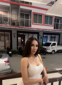 yaya🇹🇭VIP new in Phuket ( real ) - Transsexual escort in Phuket Photo 8 of 11