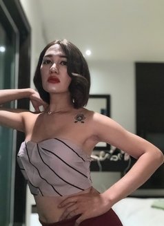 Yayabigtool18cm - Transsexual escort in Phuket Photo 14 of 30