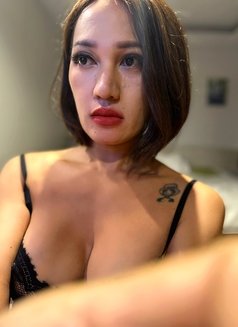 Yayabigtool18cm - Transsexual escort in Phuket Photo 17 of 30