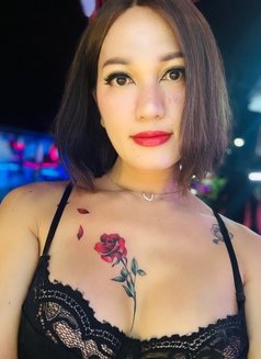 Yayabigtool18cm - Transsexual escort in Phuket Photo 25 of 30