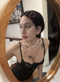 Yayabigtool18cm - Transsexual escort in Phuket Photo 29 of 30