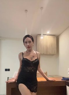Yayabigtool18cm - Transsexual escort in Phuket Photo 30 of 30