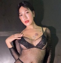 Yayabigtool18cm - Transsexual escort in Phuket Photo 1 of 30
