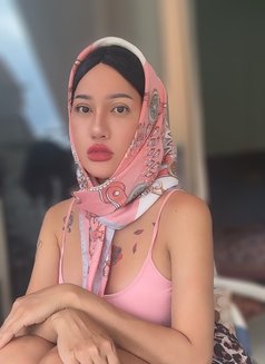 Yayabigtool18cm - Acompañantes transexual in Phuket Photo 28 of 30