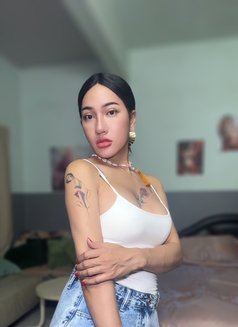 Yayabigtool18cm - Acompañantes transexual in Phuket Photo 29 of 30