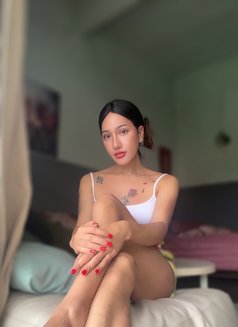 Yayabigtool18cm - Acompañantes transexual in Phuket Photo 30 of 30