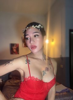 Yayabigtool18cm - Acompañantes transexual in Phuket Photo 27 of 30