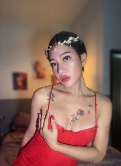 Yayabigtool18cm - Acompañantes transexual in Phuket Photo 28 of 30