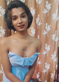 Yazhini Shemale New N Madiwala - Transsexual escort in Bangalore Photo 13 of 14