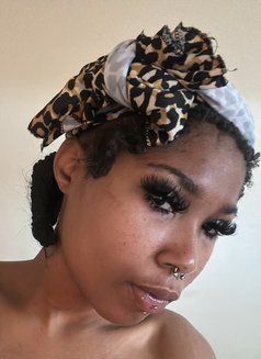 Rosa - escort in Amman Photo 1 of 2