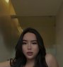 Hotty Perma ( camshow , meet ) - Transsexual escort in Beirut Photo 25 of 28