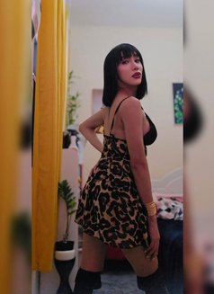 shan Yhuna ladyboy 🇵🇭 - Acompañantes transexual in Dubai Photo 14 of 20