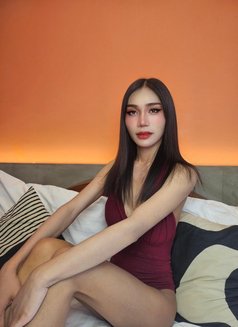 Ying Ying New Ladyboy Intown - Transsexual escort in Bangkok Photo 2 of 10