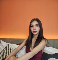 Ying Ying New Ladyboy Intown - Transsexual escort in Bangkok