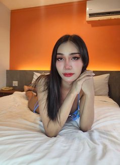 Ying Ying New Ladyboy Intown - Transsexual escort in Bangkok Photo 6 of 10