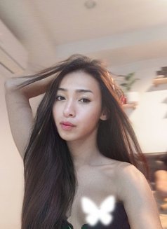 Yingying Lb - Transsexual escort in Phuket Photo 3 of 3