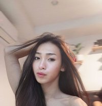 Yingying Lb - Acompañantes transexual in Phuket