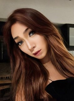 Yingying Lb - Transsexual escort in Phuket Photo 5 of 6