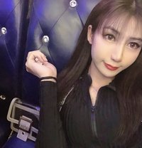 易怡yi yi - Transsexual escort in Shenzhen