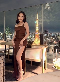 Asian Babe (Independent) - escort in Tokyo Photo 19 of 24