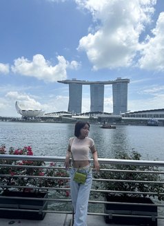 ynamieez - escort in Singapore Photo 10 of 14