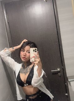 ynamieez - escort in Doha Photo 13 of 13