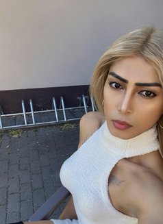 Ynder “Ladyboy” - Transsexual escort in Frankfurt Photo 3 of 6