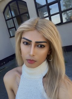 Ynder “Ladyboy” - Transsexual escort in Frankfurt Photo 4 of 6