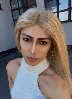 Ynder “Ladyboy” - Transsexual escort in Frankfurt Photo 6 of 6