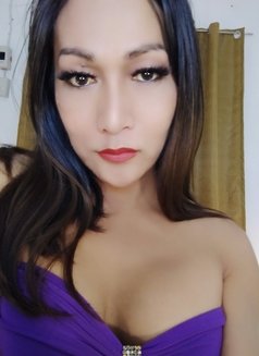 Ynez for Camshow - Transsexual escort agency in Colombo Photo 1 of 10