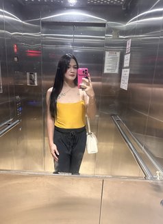 Ynez Garcia - Transsexual escort in Manila Photo 1 of 1