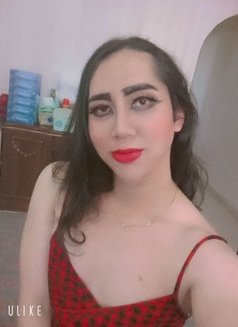 Ladyboy Abu Dhabi - Transsexual escort in Abu Dhabi Photo 1 of 1