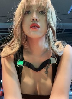 Yo Yo - Transsexual escort in Bangkok Photo 16 of 17