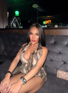 Yo Yo - Acompañantes transexual in Pattaya Photo 3 of 7